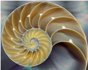 Семилетние циклы в жизни...